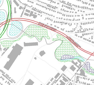 Wetland Resource Areas Mill Creek North of Broadway