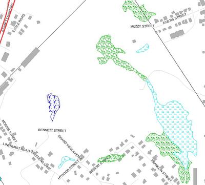 Wetland Resource Areas North Revere Inland