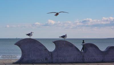 Revere beach