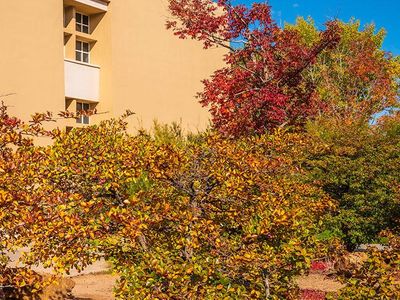 fall in albuquerque means rodents will try to get inside