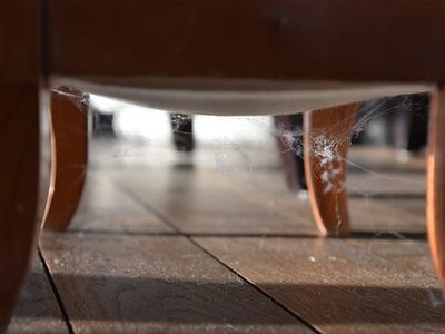 spider web under chair inside albuquerque home