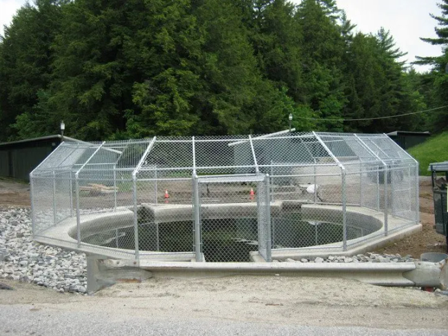 Chain Link Enclosure at Fish Hatchery