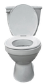 toilet