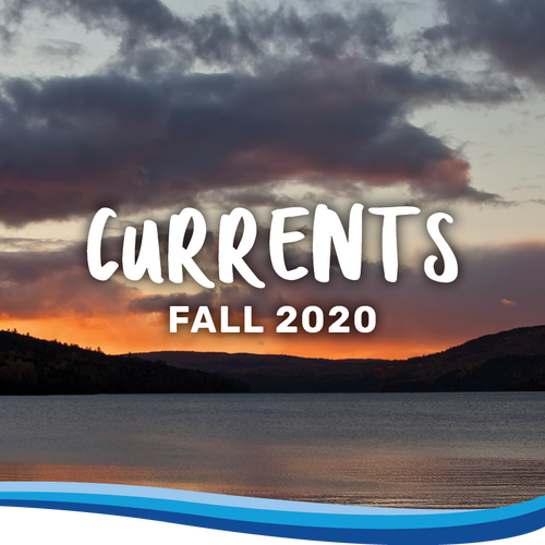 2020-Fall-Newsletter