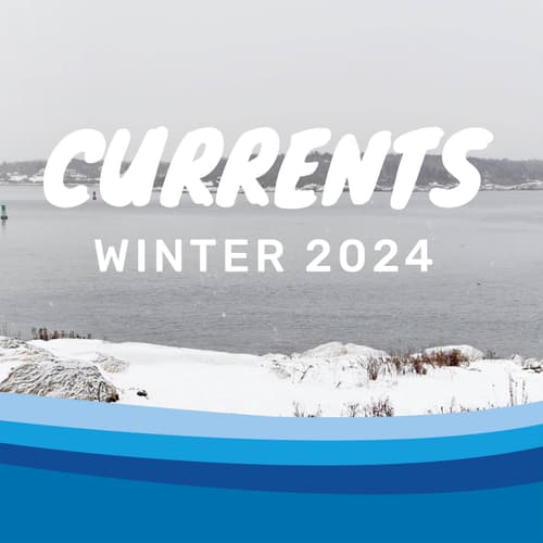 GAUD-Winter-2024-Newsletter