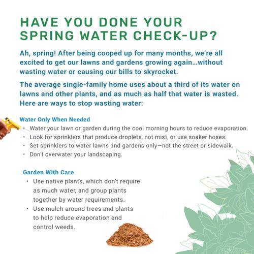 Spring-Check-Up-april-2021