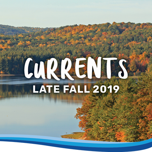 late-fall-newsletter-2019
