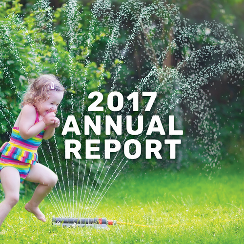 2017-report