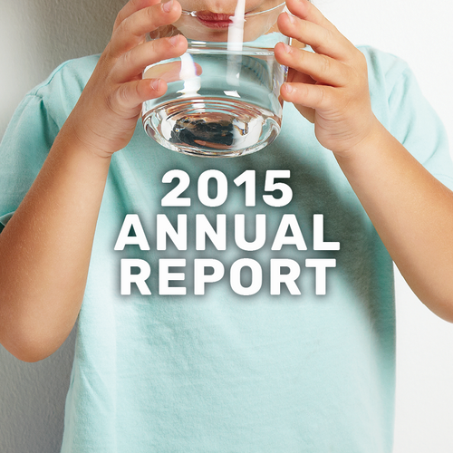2015-report