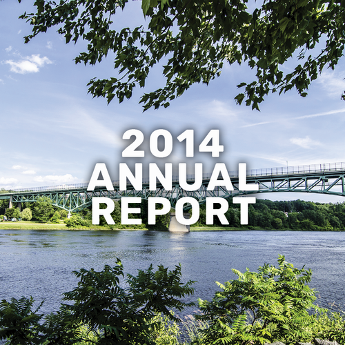 2014--report