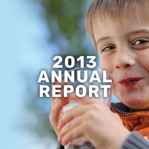 2013-report