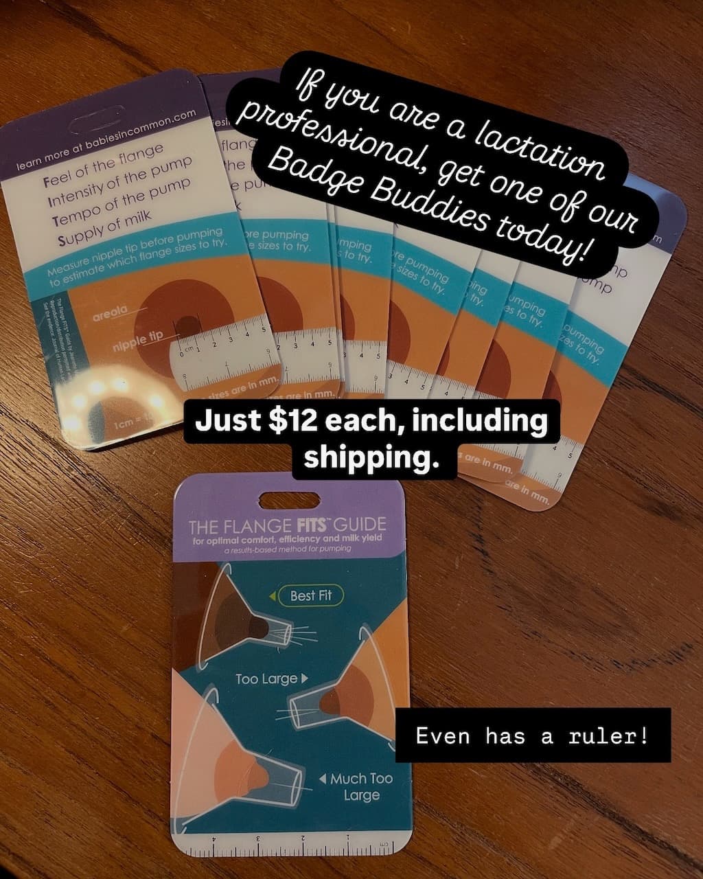 image of FITS Guide Badge buddies