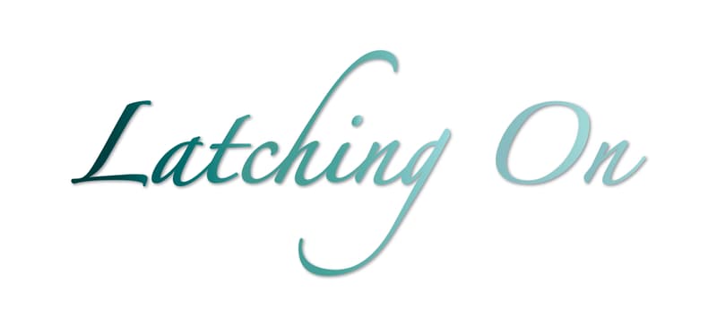 Lisa Sheer, IBCLC, CEIM