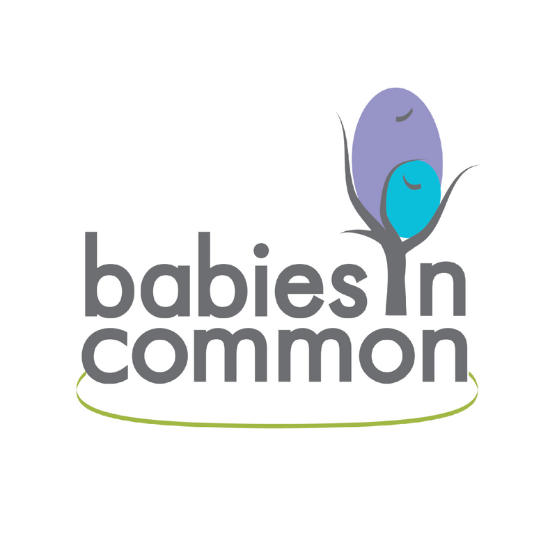 Jeanette Mesite Frem, MHS, IBCLC, CCE