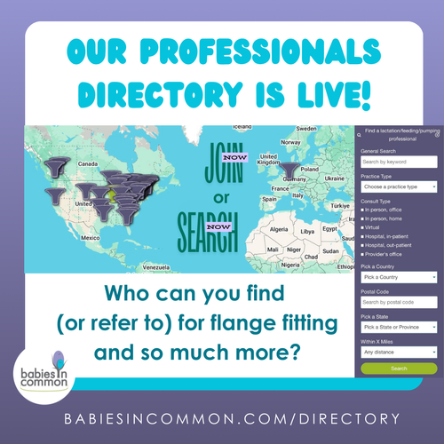 Professionals Directory