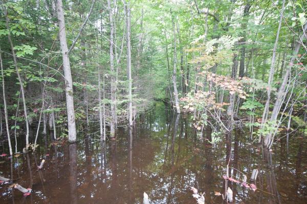Floodplain  Management Ordinance
