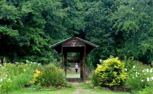 Falcon Trail Takes Flight in Stanly County