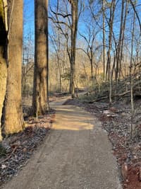 South Fork Ridge Trail
