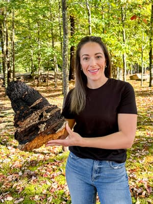 my berry organics owner hunting for chaga in maine