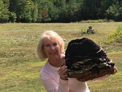 my berry organics owner hunting for chaga in maine