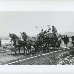 Black and White Photo of Horse and Buggy
