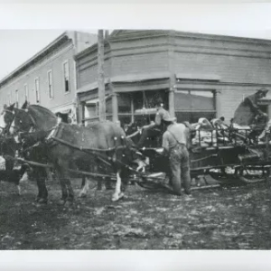 Black and White Photo of horses