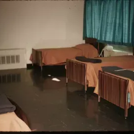 beds