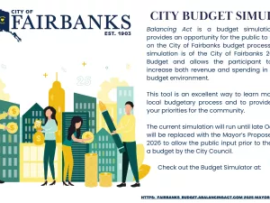 City Budget Simulator