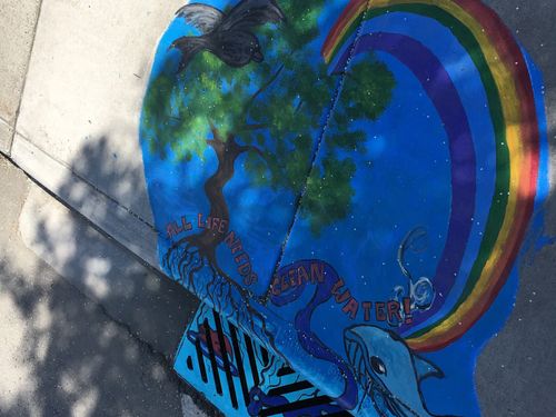 Rainbow storm drain art