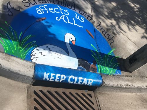 Swan storm drain art