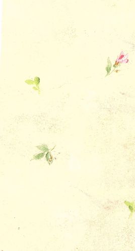 P-246-WALLPAPER