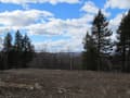 Acreage W/Paved Road & Views