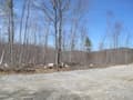 9.5 Acre Building lot W/ Trail access