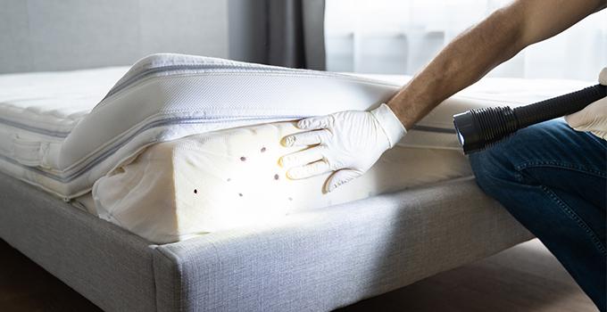 a person inspecting a mattress for bed bugs