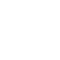 termite control icon