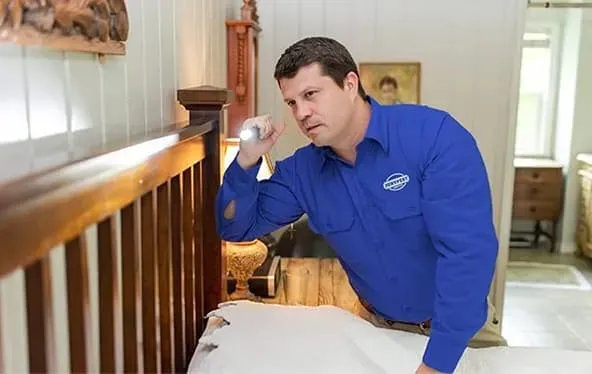 jury pest employee checking for bed bugs