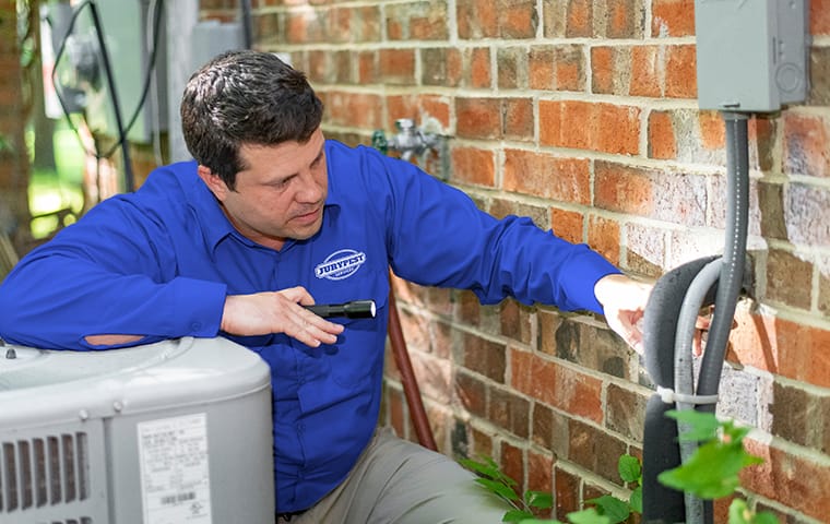 We Protect Homes From Pests Like Spiders & Rodents a service technician clearing spider webs away at a home in lexington south carolina
