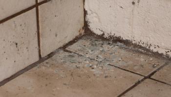 Water damaged basement tiles