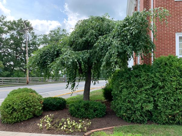 Skowhegan Savings Bank Ops