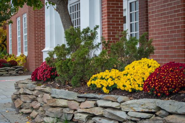 Skowhegan Savings Bank Ops