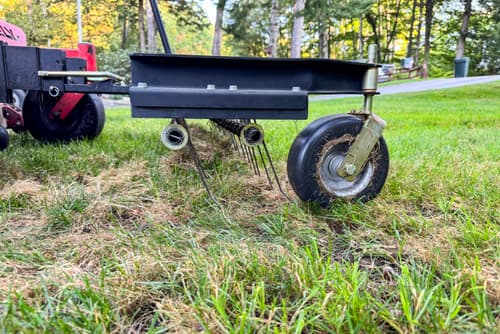 Dethatching