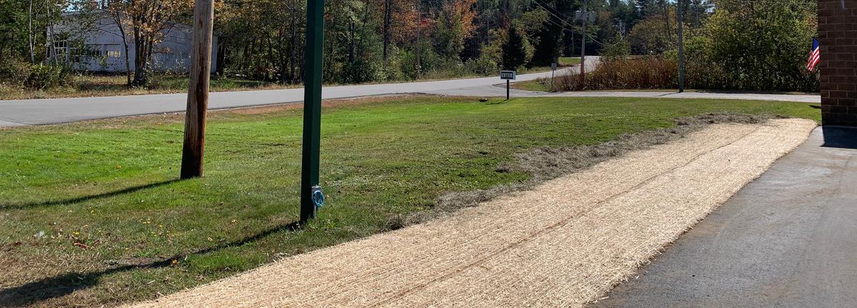 Grass with mulch