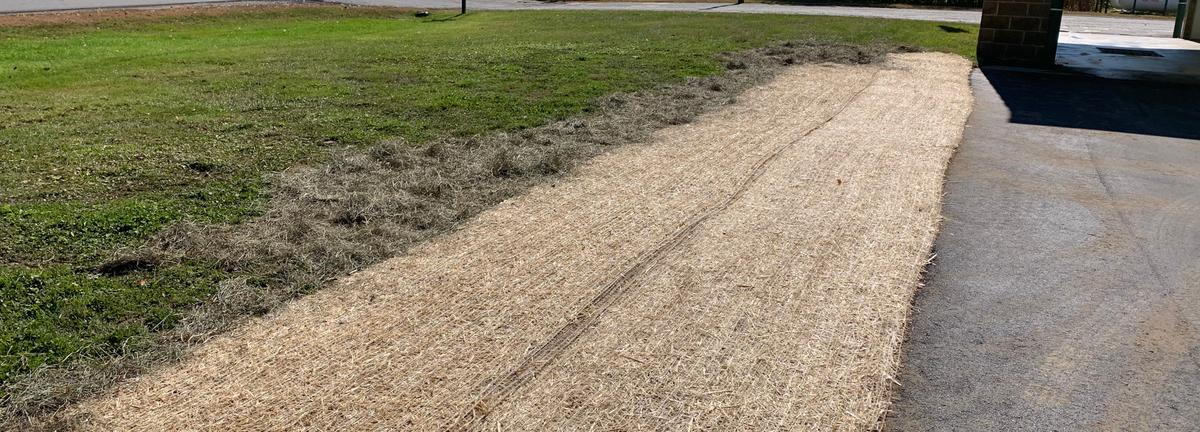 Grass with mulch