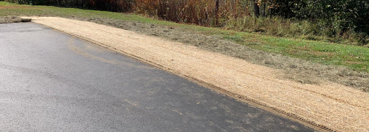 Grass with mulch