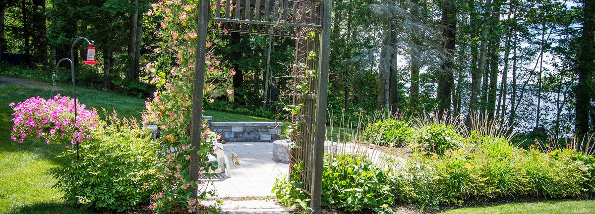 Plants around an archway