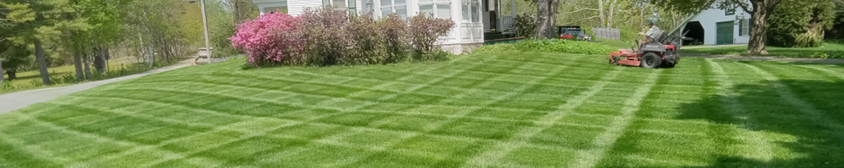 Commercial property care