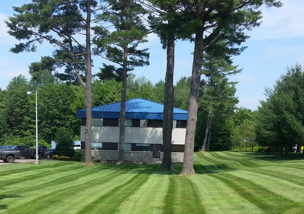 Blue roof lawn