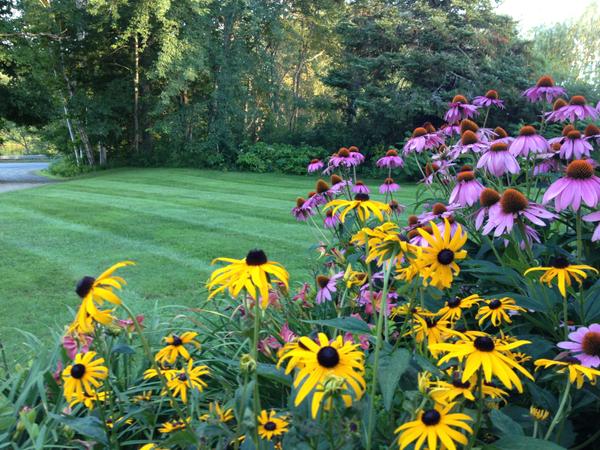 John's mowed lawn