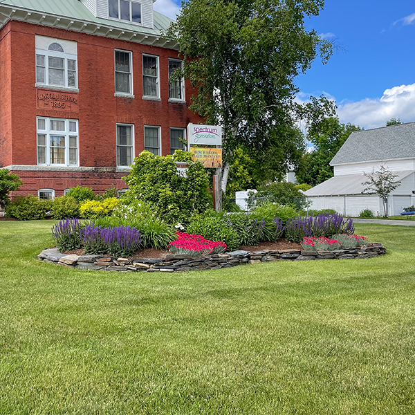 Large mowed lawn on a hill
