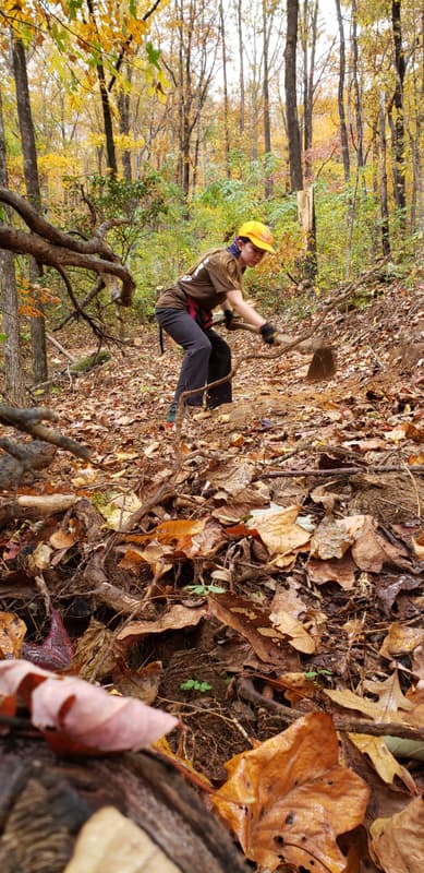 Volunteer Cleanup Event